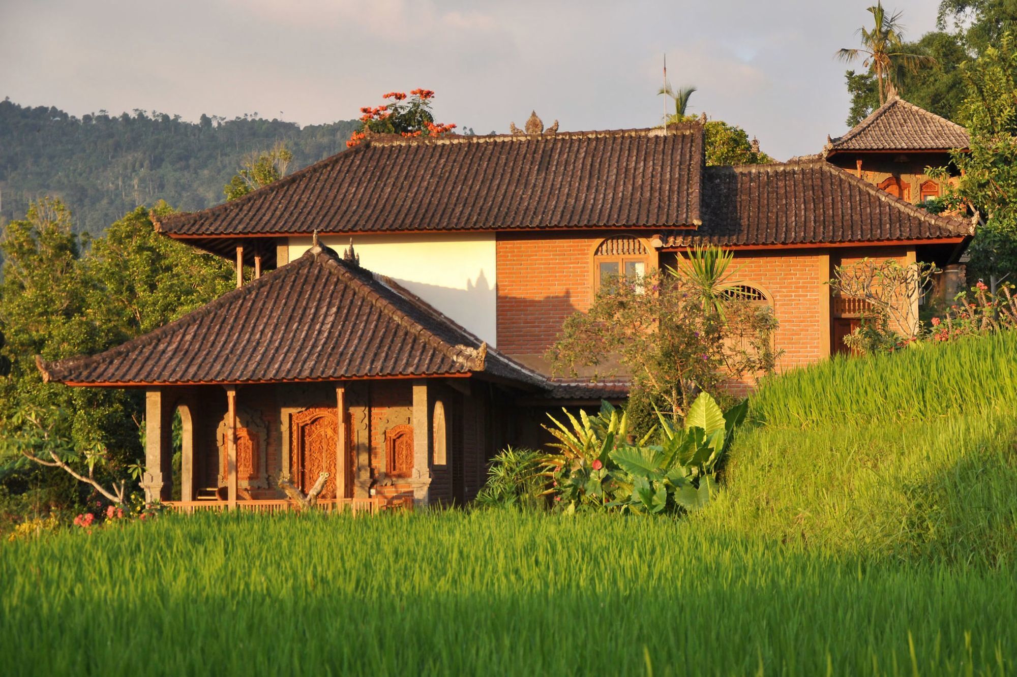 Puri Lumbung Cottages Gobleg  Luaran gambar