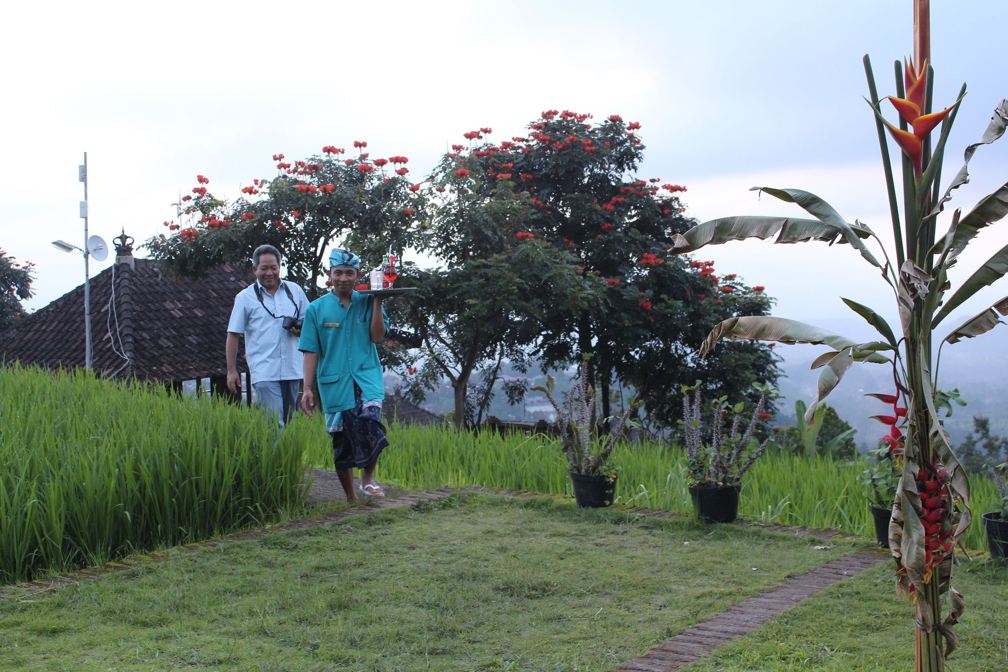 Puri Lumbung Cottages Gobleg  Luaran gambar
