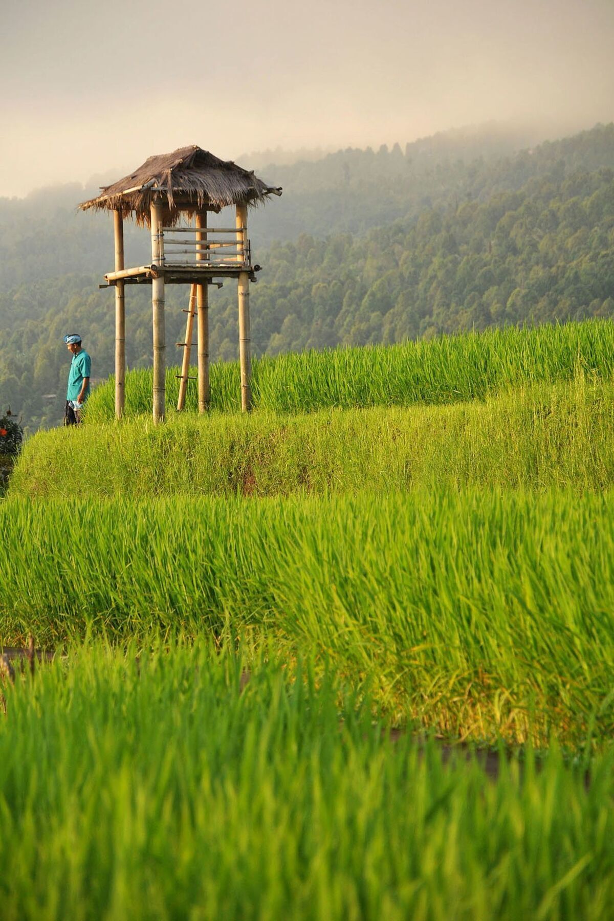 Puri Lumbung Cottages Gobleg  Luaran gambar