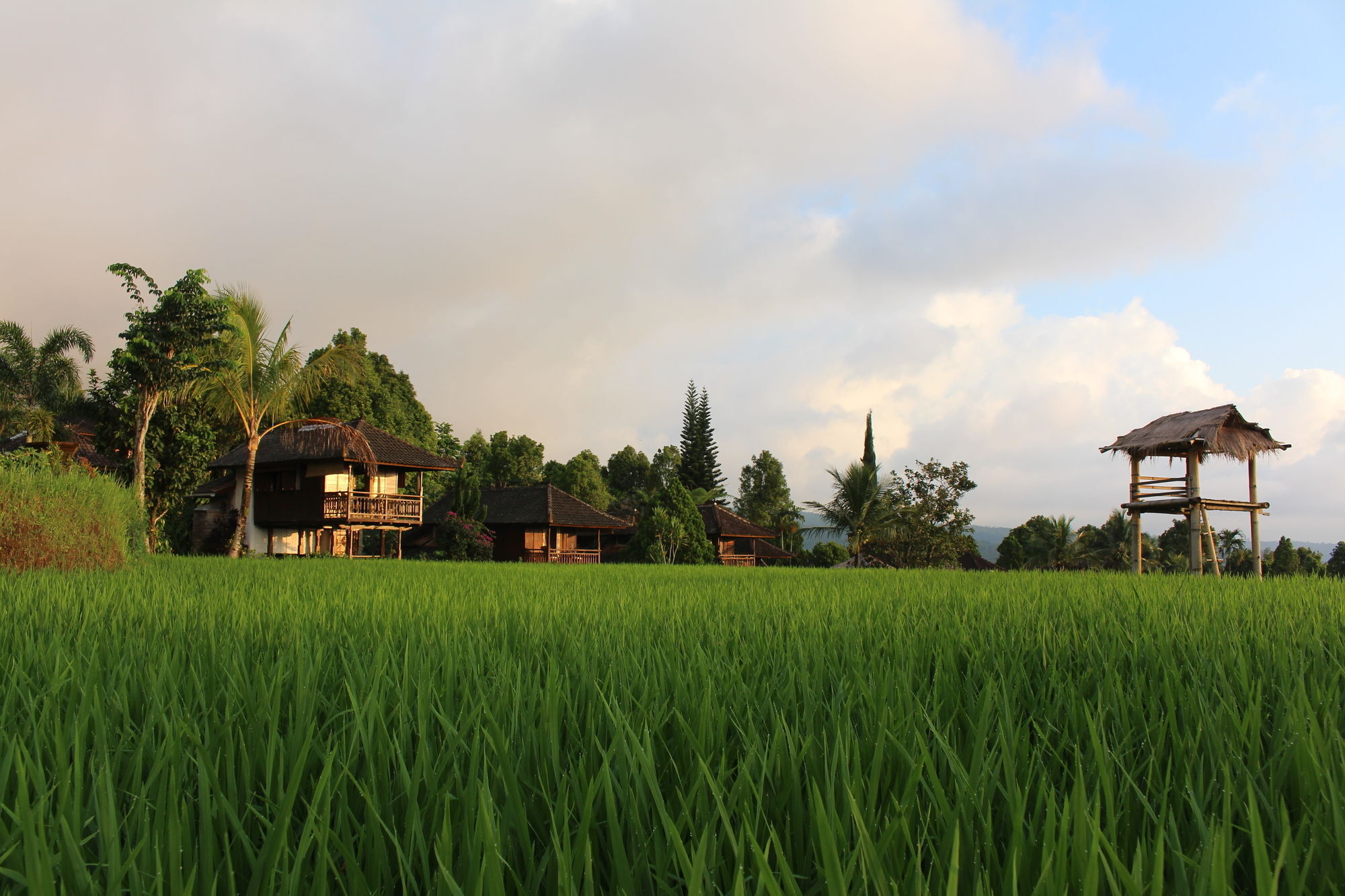 Puri Lumbung Cottages Gobleg  Luaran gambar